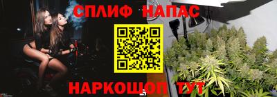 ГАЛЛЮЦИНОГЕННЫЕ ГРИБЫ Свободный