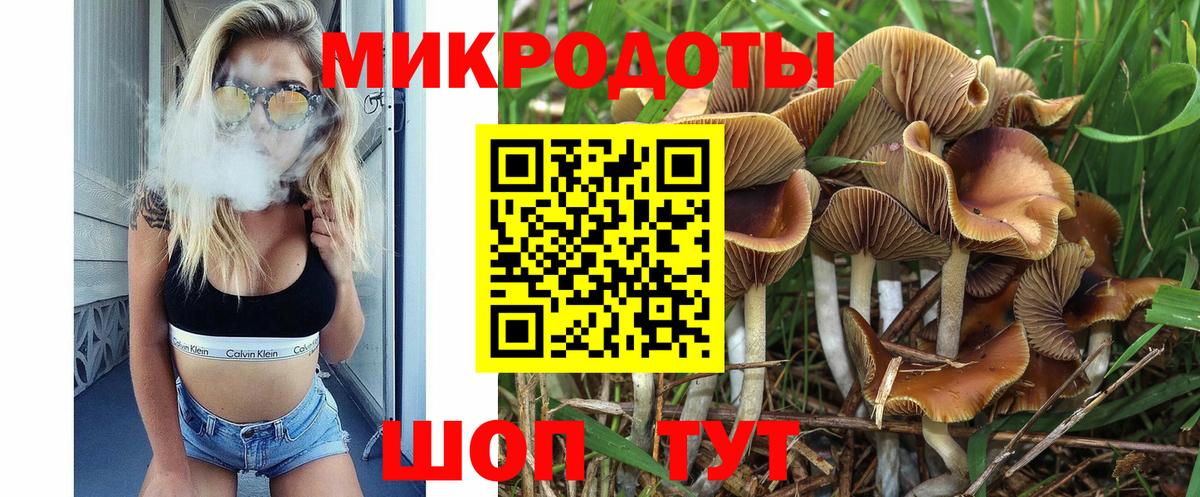 Галлюциногенные грибы мухоморы Великий Новгород
