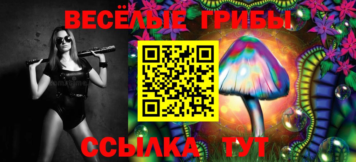 Великий Новгород  Псилоцибиновые грибы мухоморы  Вход с VPN 